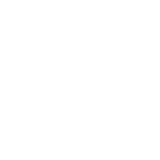 Pet CT Imaging