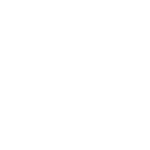 Pet Orthopedic