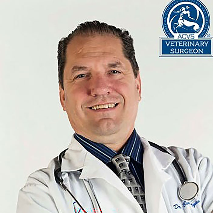Dr B