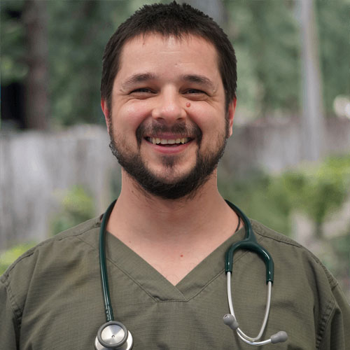Dr Palikarov
